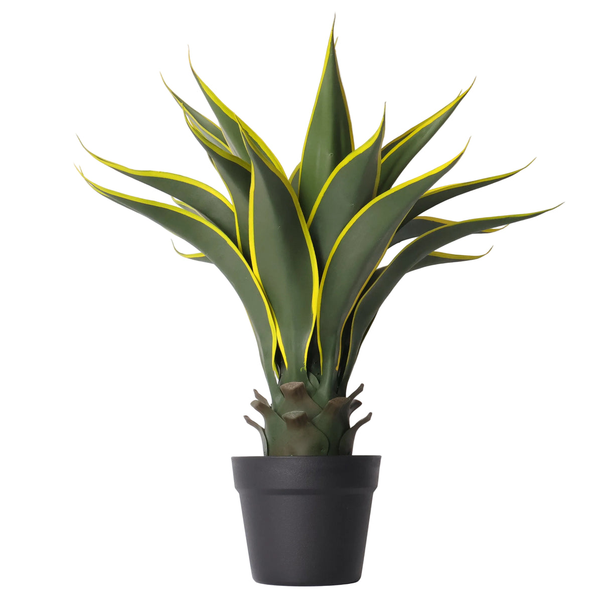 Maceta Agave 60 Cm