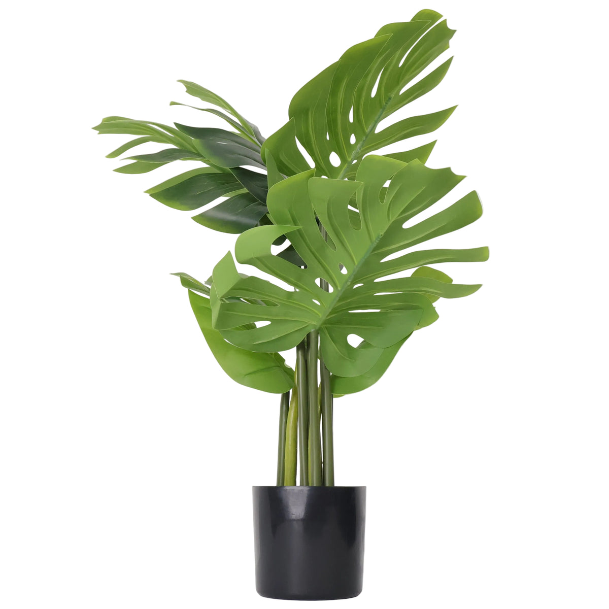 MACETA MONSTERA