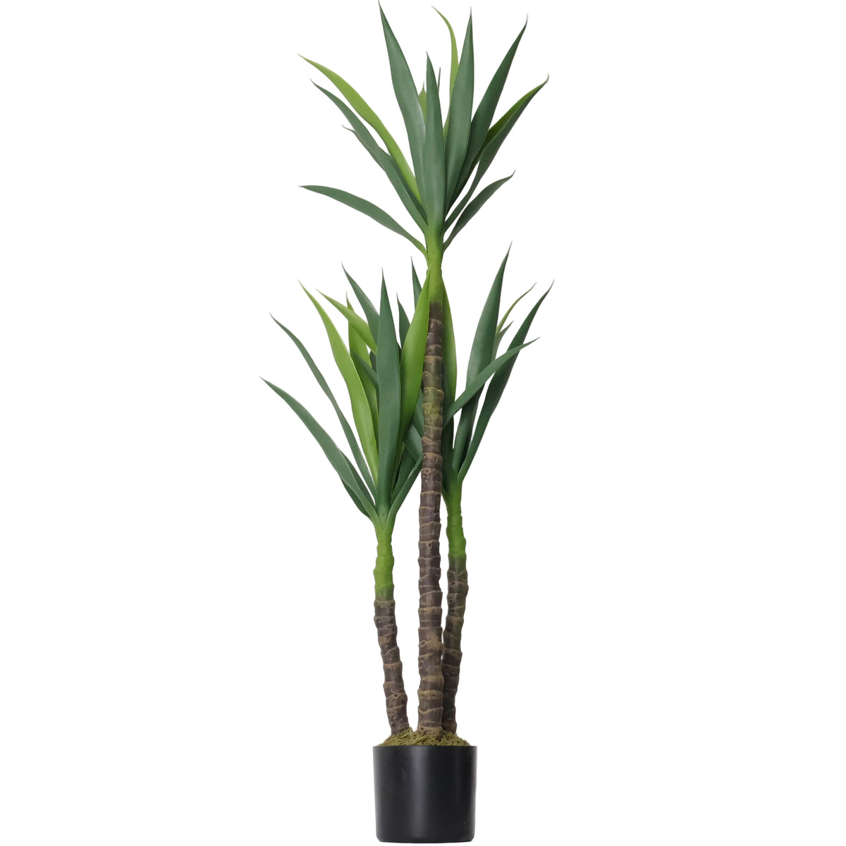 YUCA-A120