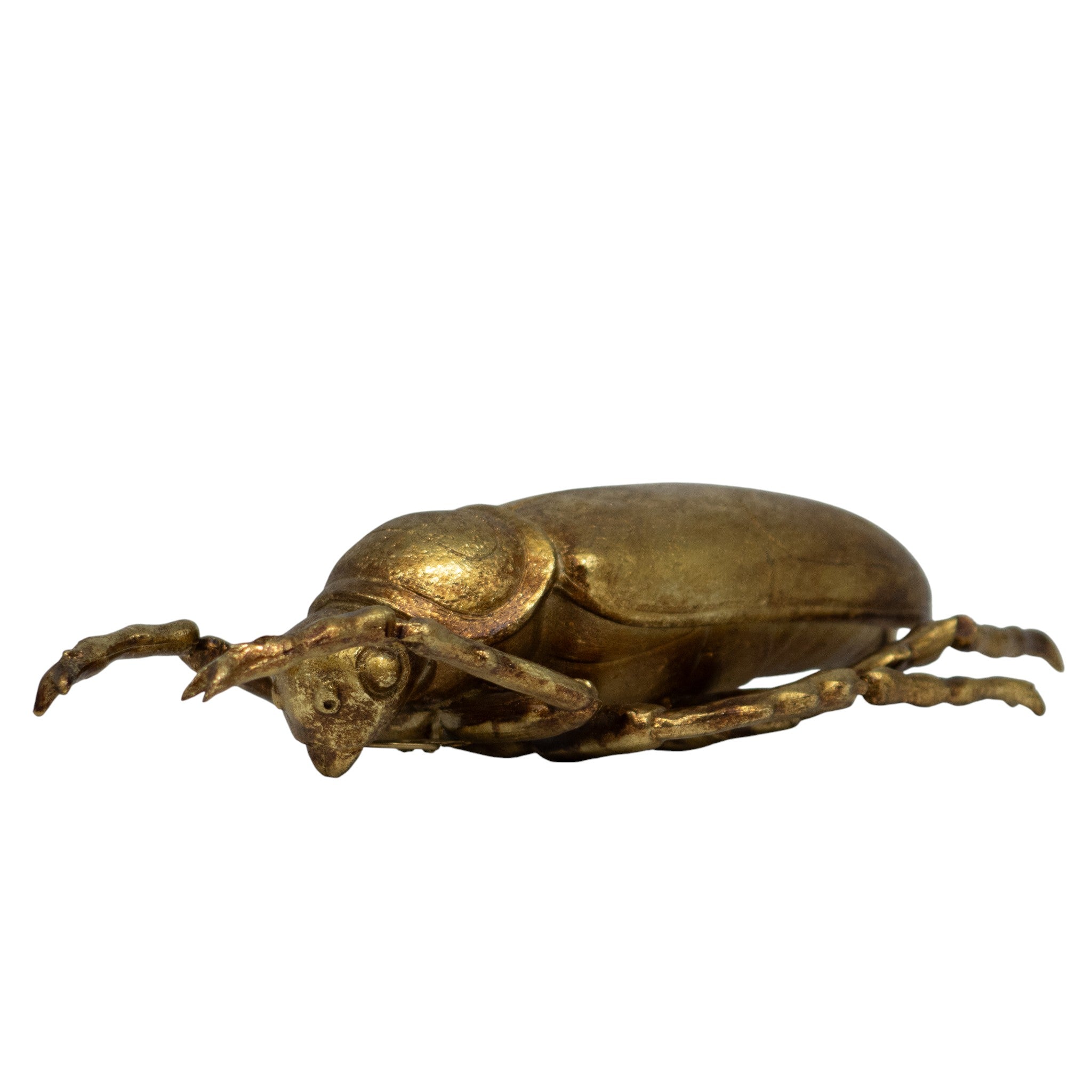 Decoración Escarabajo I 23 cm