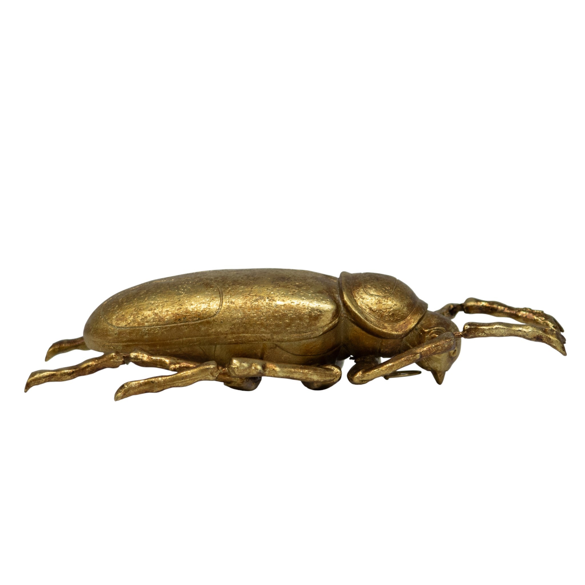 Decoración Escarabajo I 23 cm