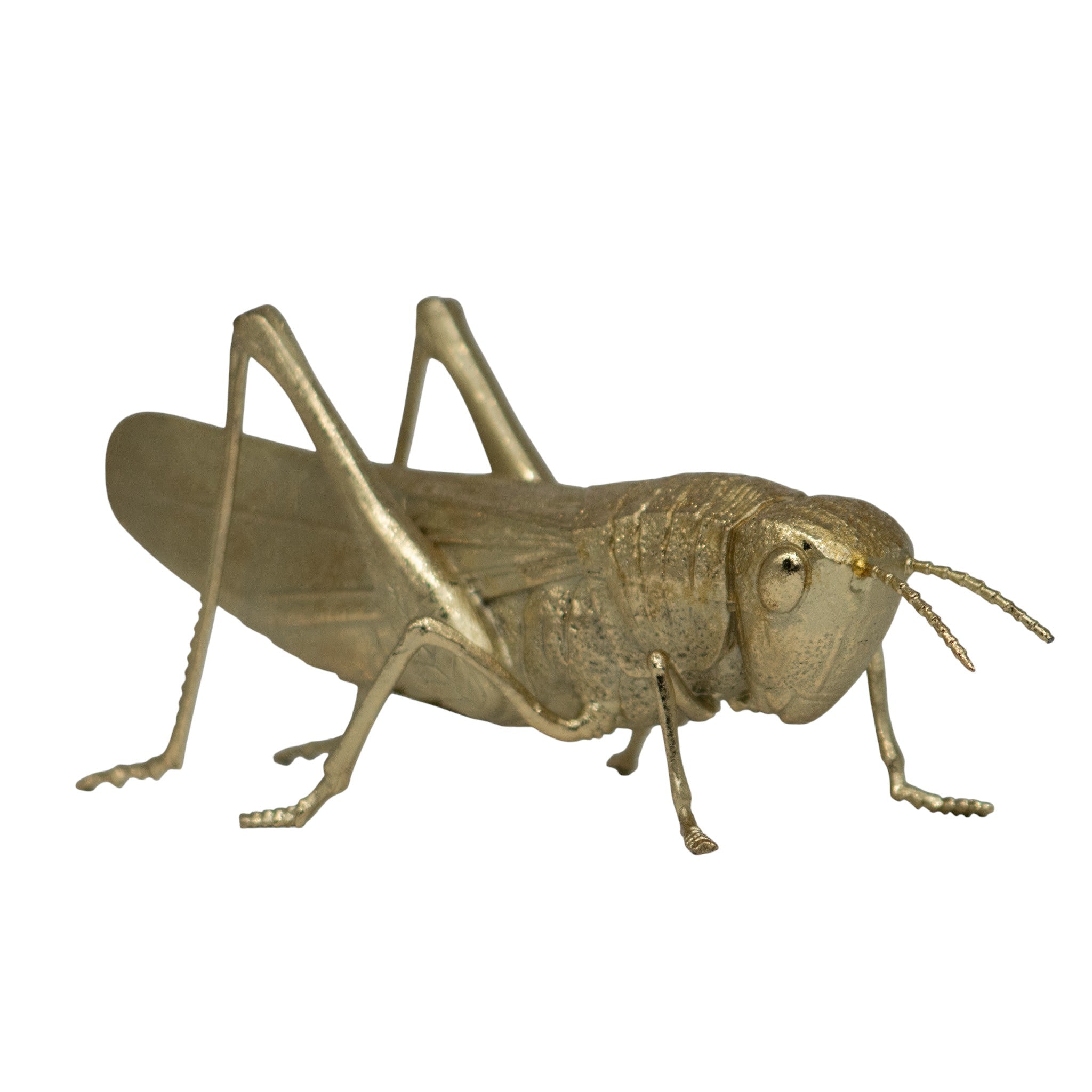 Figura Decorativa Saltamontes oro 12 cm