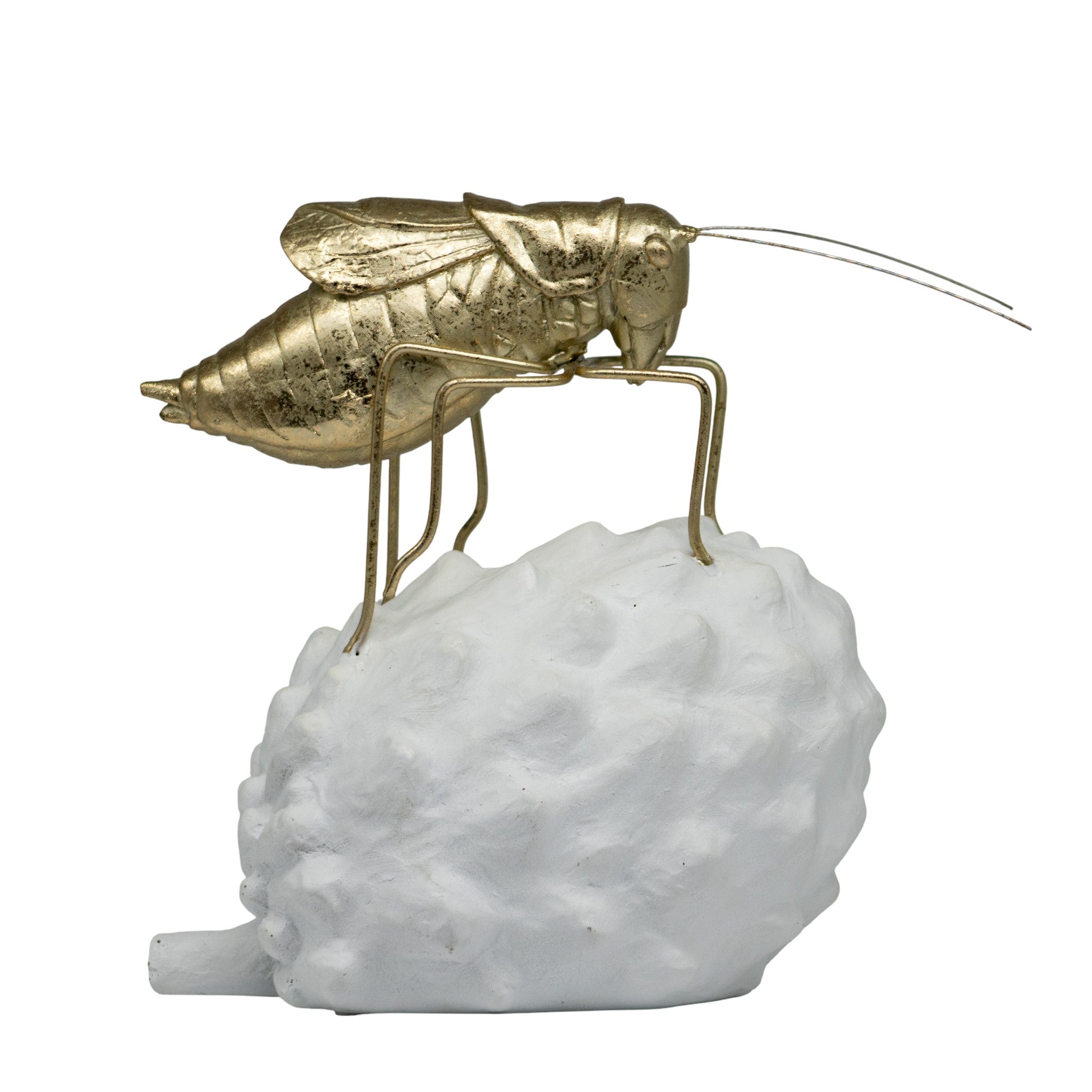 Figura Decorativa Insecto II Saltamontes - 22cm
