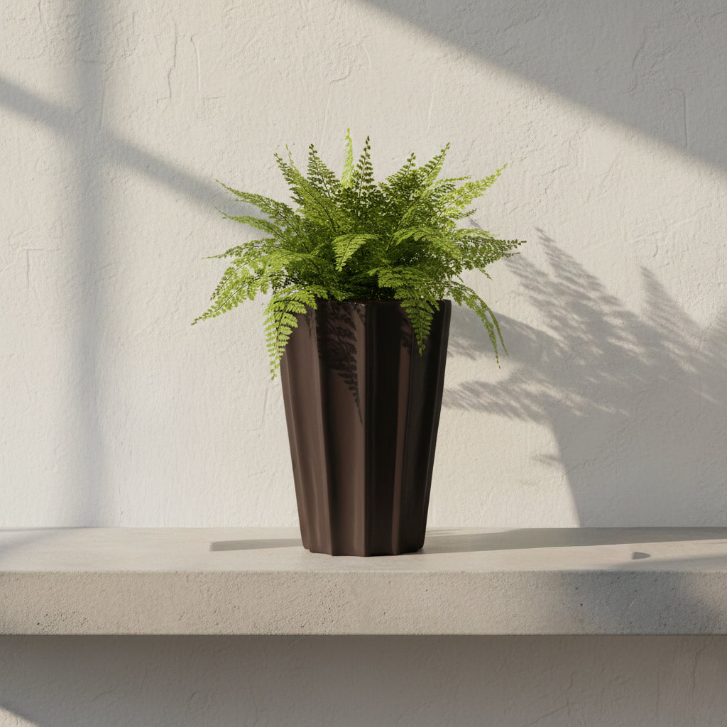 Maceta Fv Cactus M Oxford