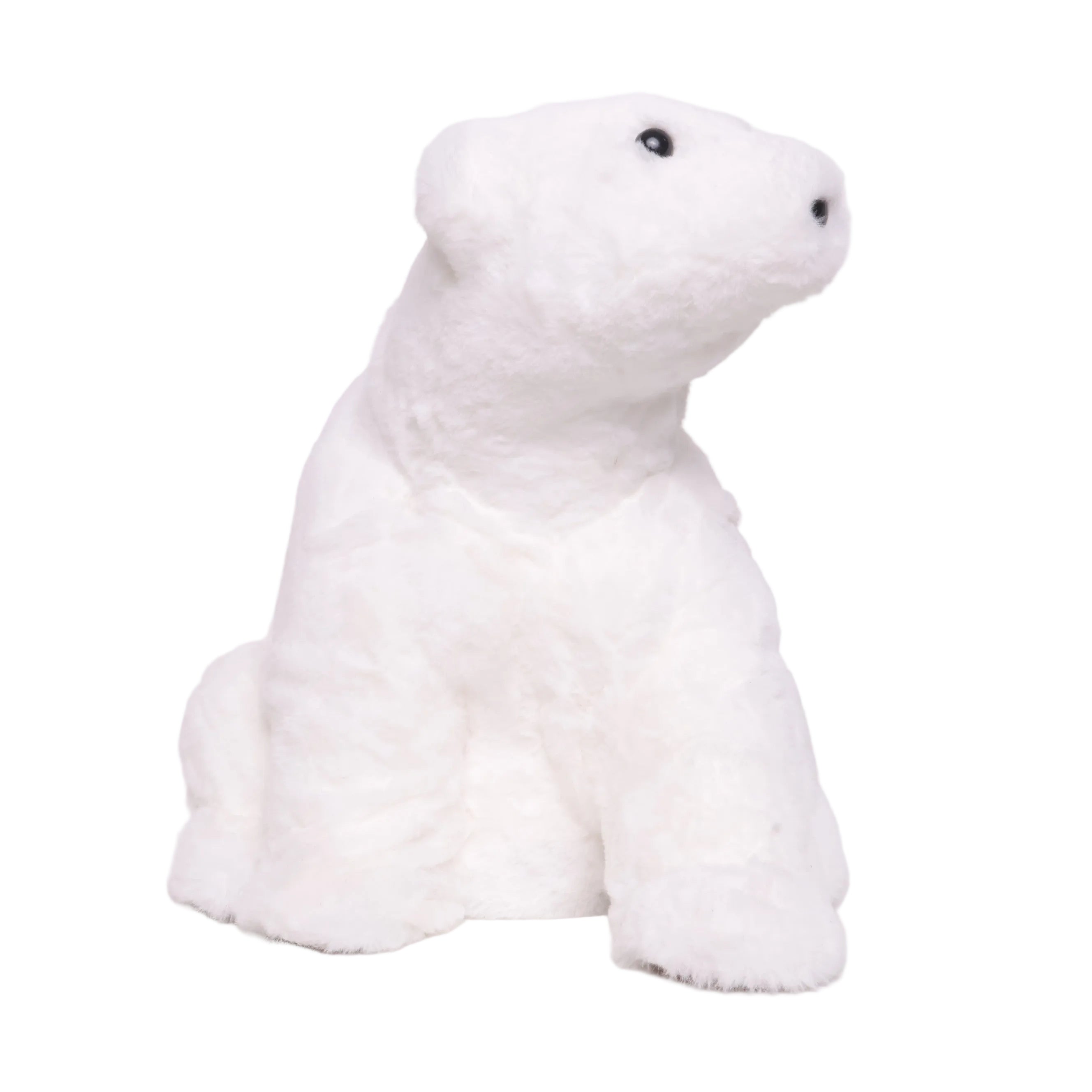Oso Sentado Blanco