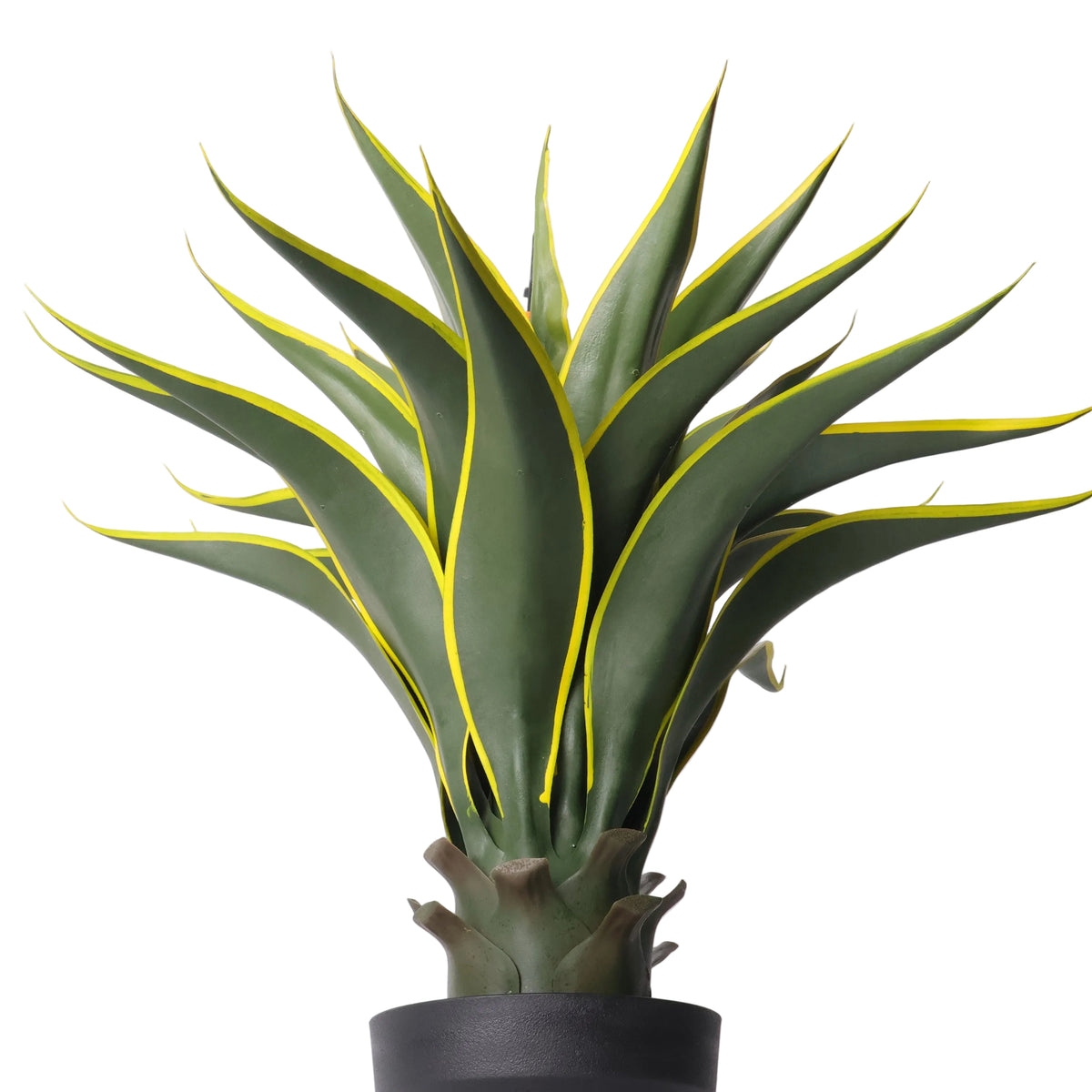 Maceta Agave 60 Cm