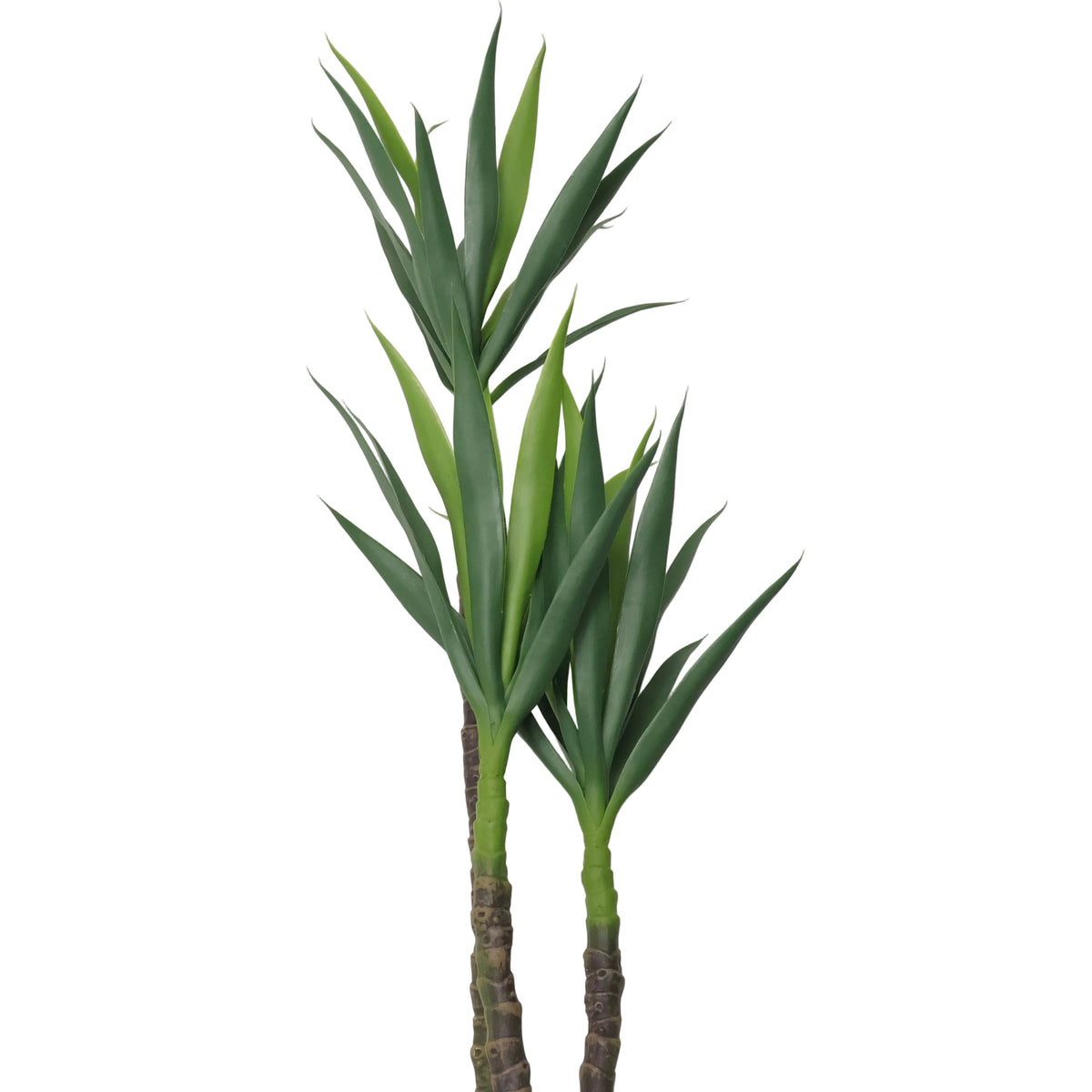 YUCA-A120