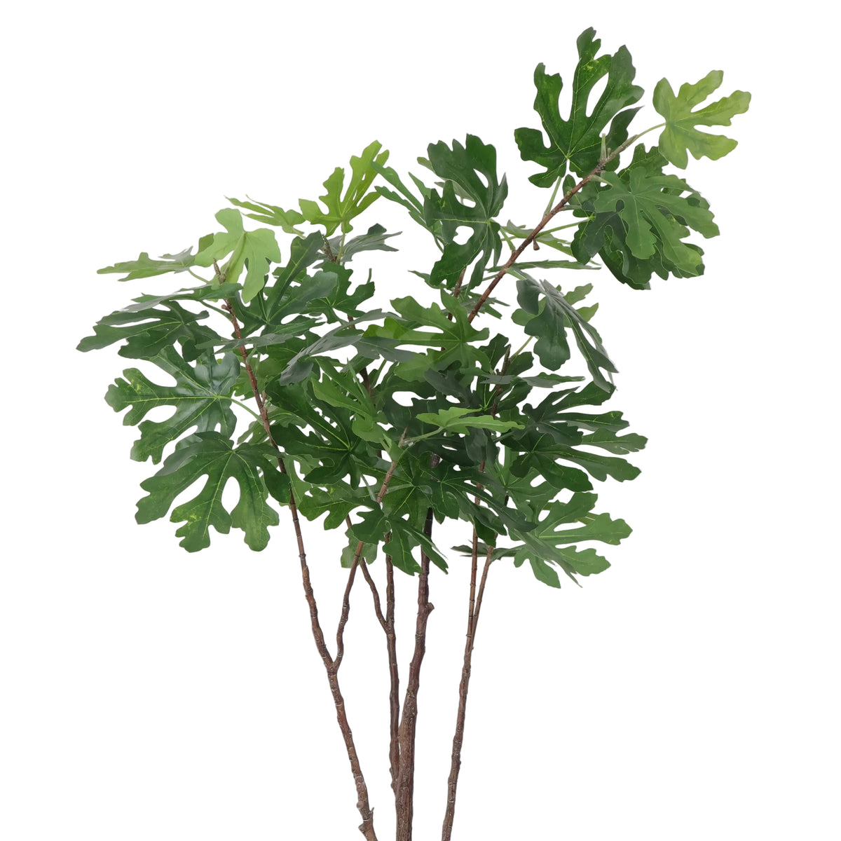 ARBOL DECORATIVO HIGUERA