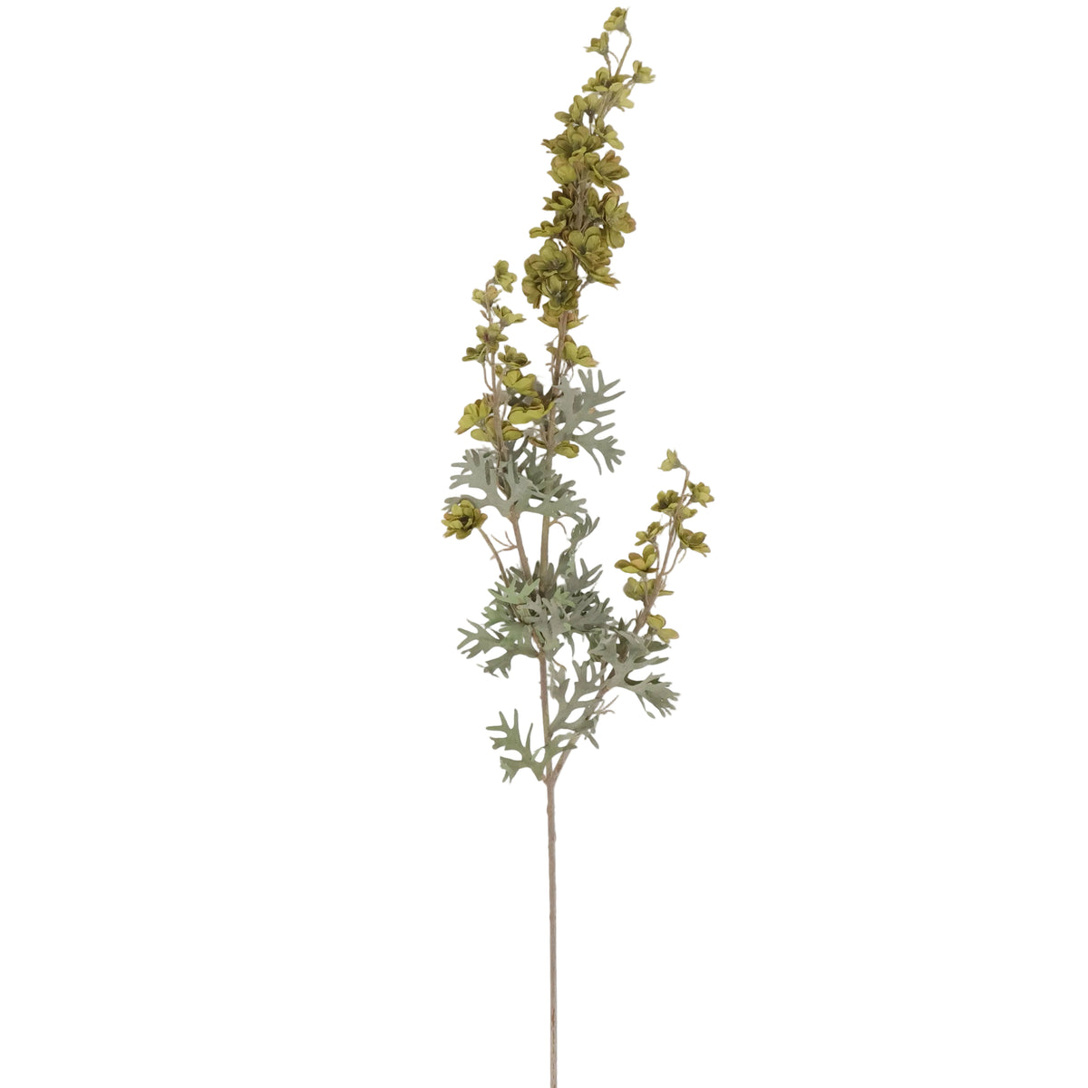 CEREZO VERDE