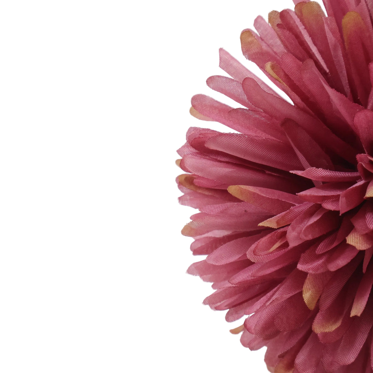 CRISANTEMOS FIUSHA
