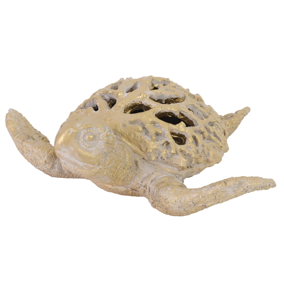 TORTUGA PERFORADO