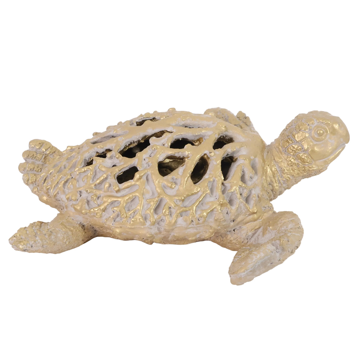TORTUGA PERFORADO