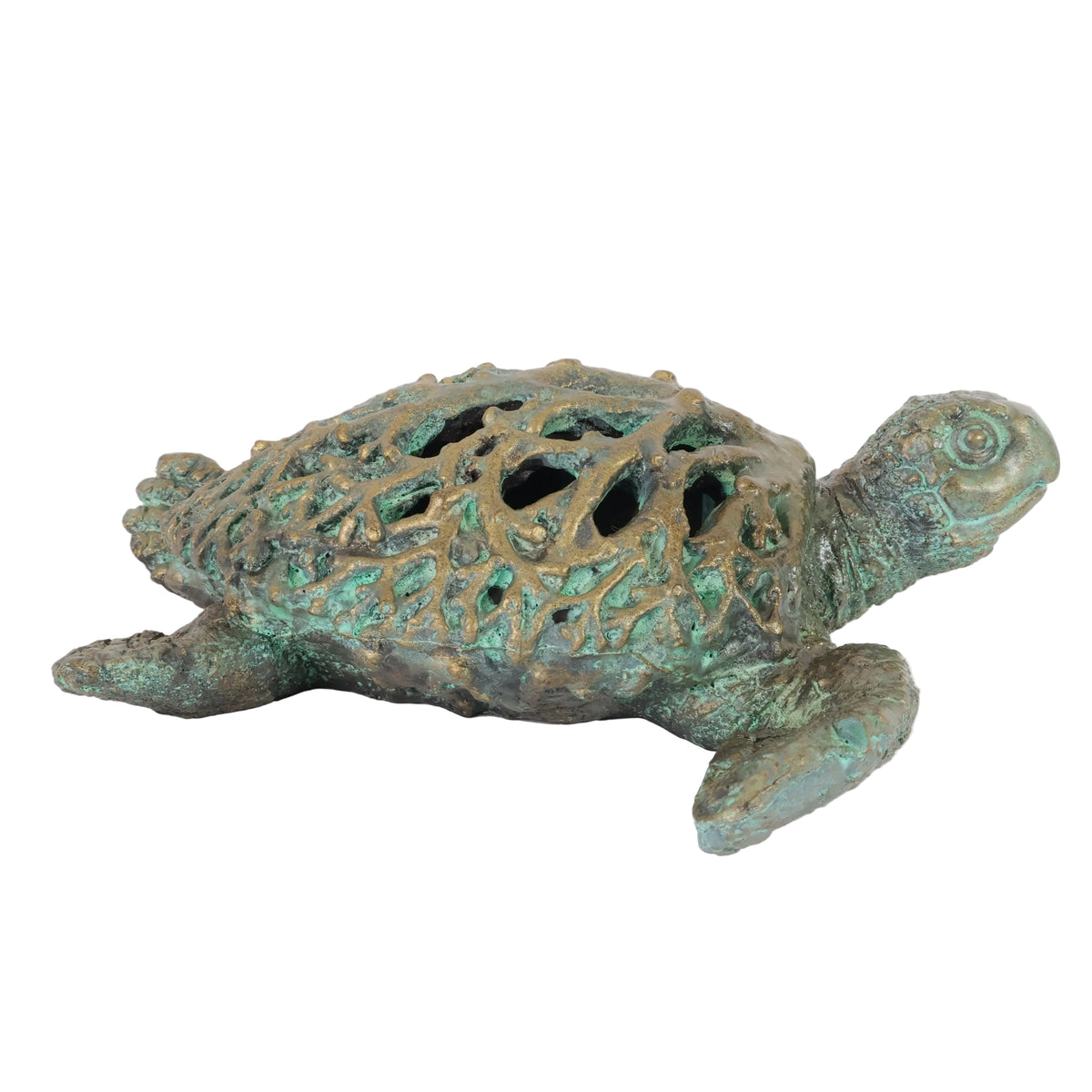 TORTUGA PERFORADA