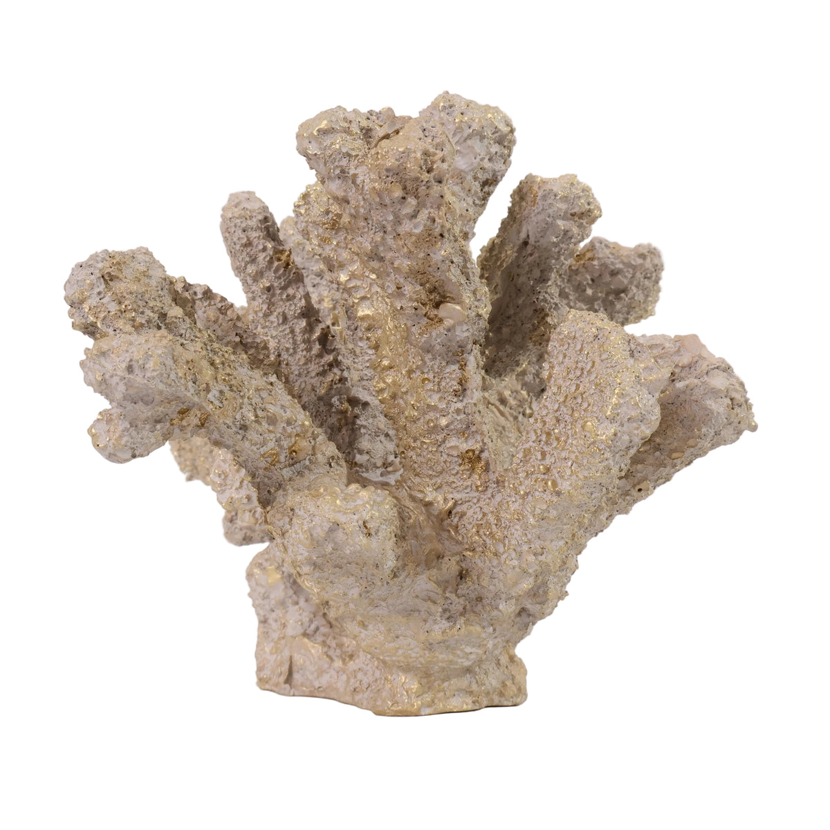 CORAL GRIEGO