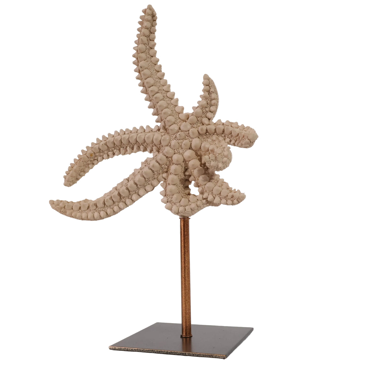 ESCULTURA ESTRELLA DE MAR