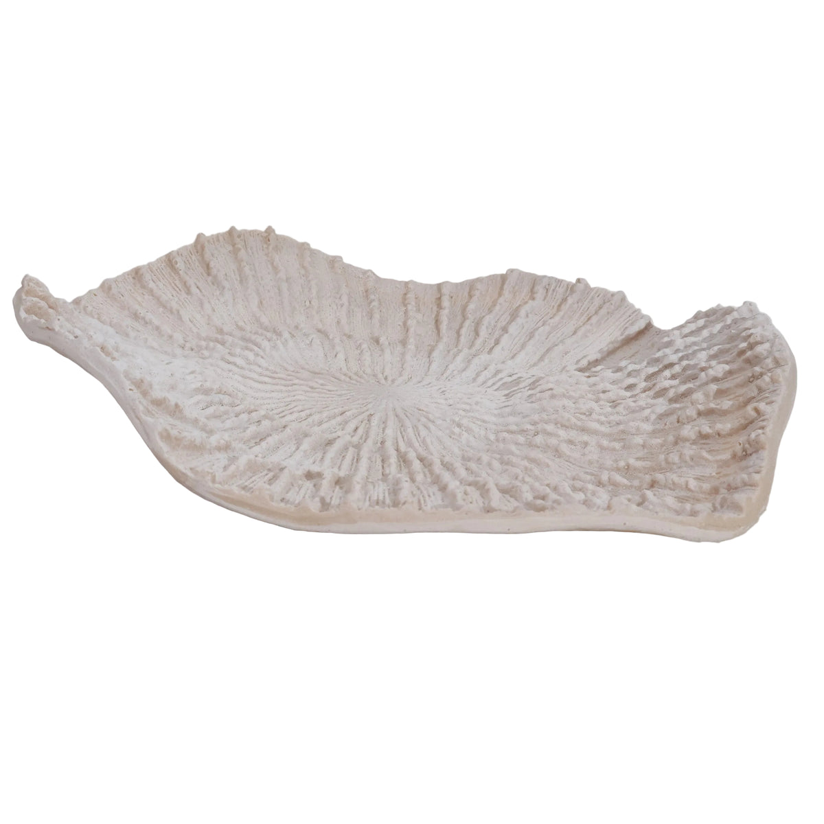 CORAL CHICO