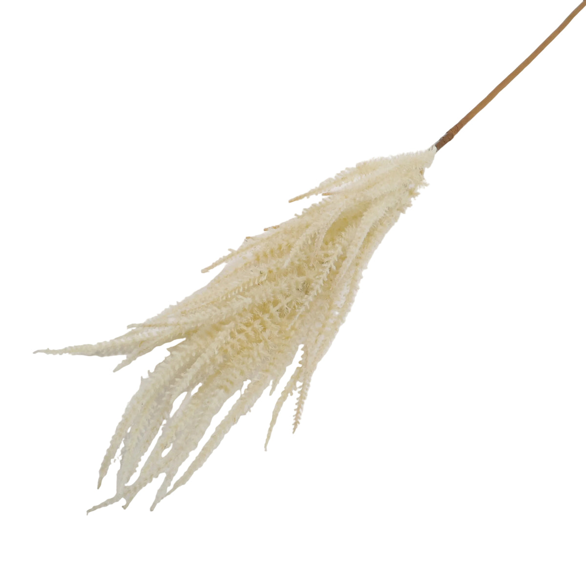 FOLLAJE SORGO BEIGE