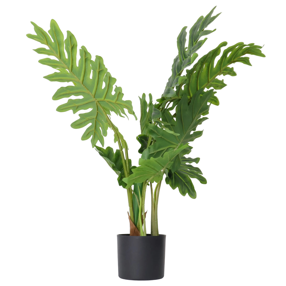 Planta Decorariva Happy