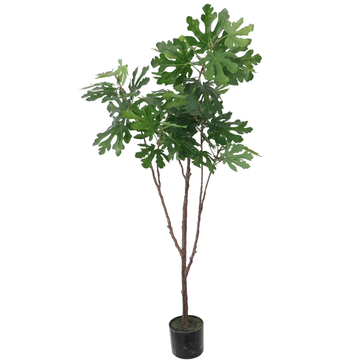 ARBOL DECORATIVO HIGUERA