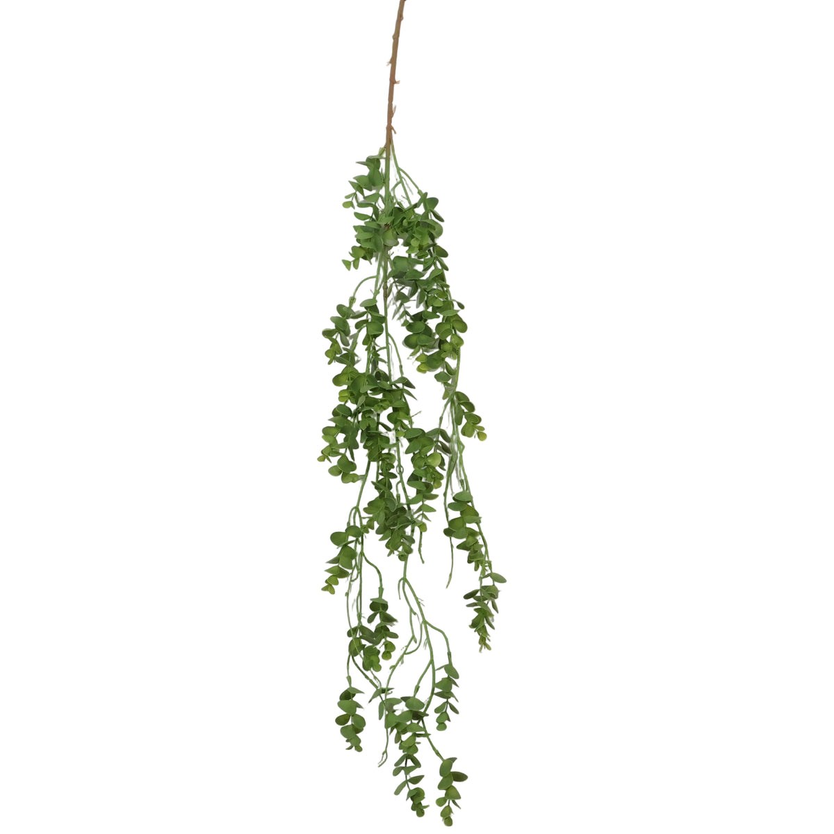 EUCALYPTUS GRASS VERDE