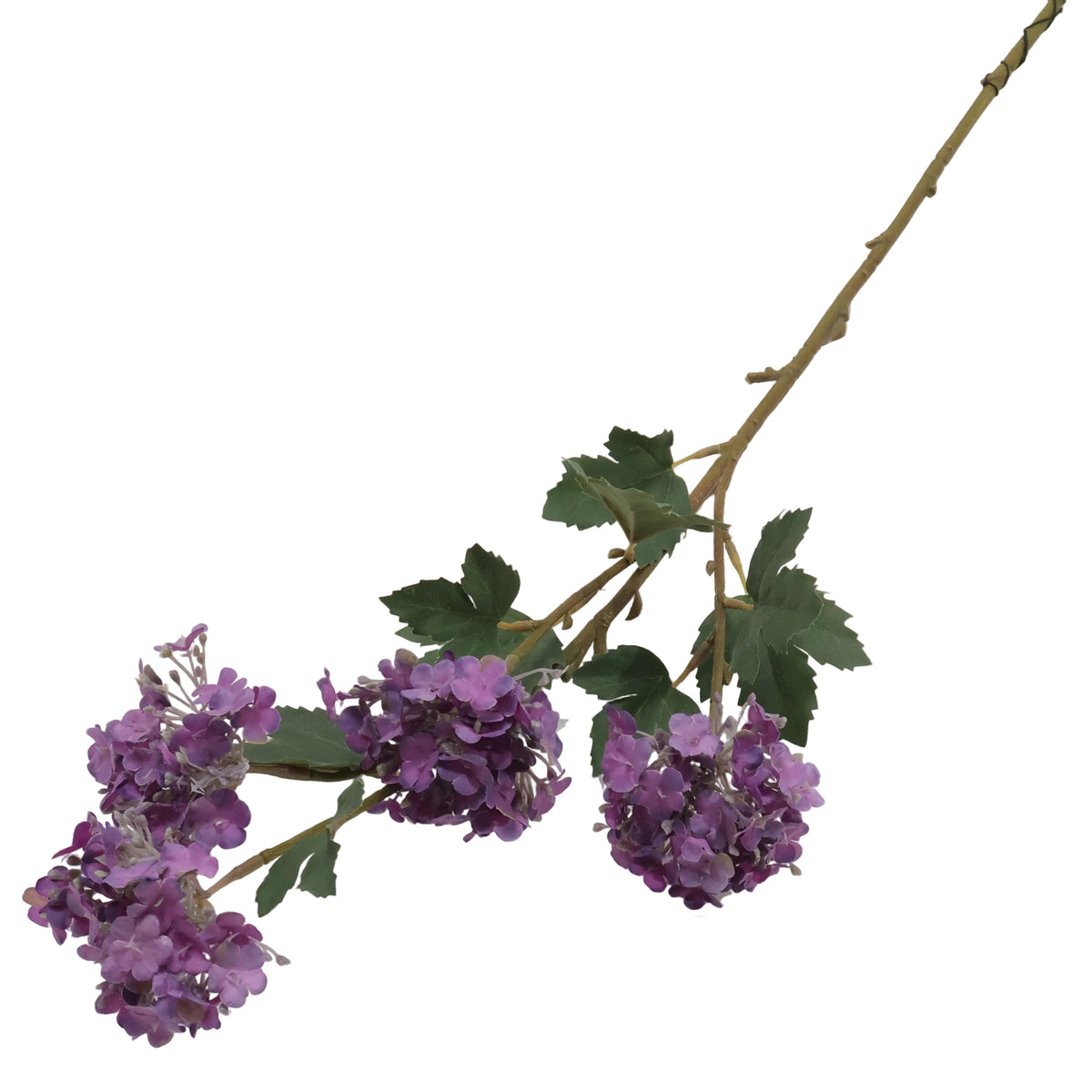 VIOLETA MORADA