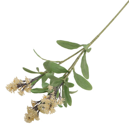 FLOR BRANCH CREMA