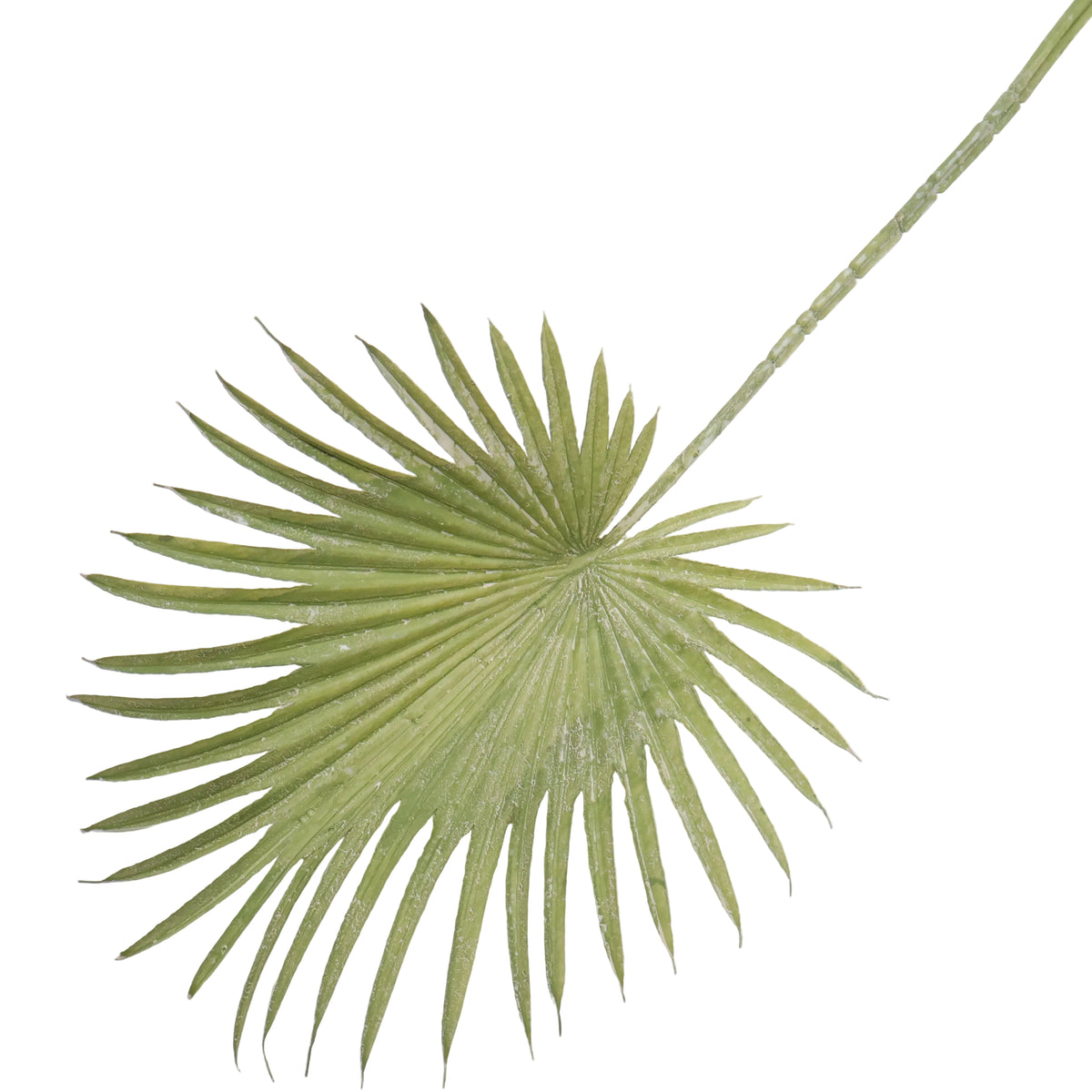 ABANICO VERDE