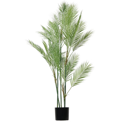 PALMA ARECA EN MACETA