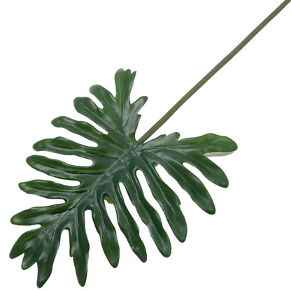 FOLLAJE HOJA DE FILODENDRO