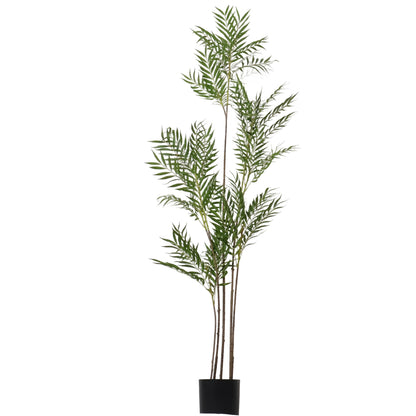 ARBOL LICUALO