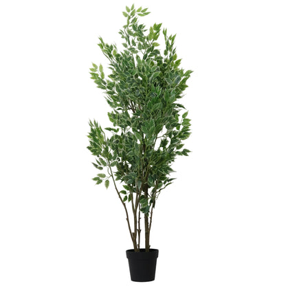 ARBOL FICUS