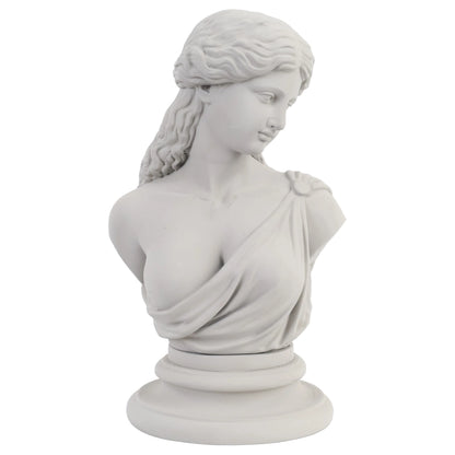 BUSTO VENUS RESINA + MICROCEMENTO N