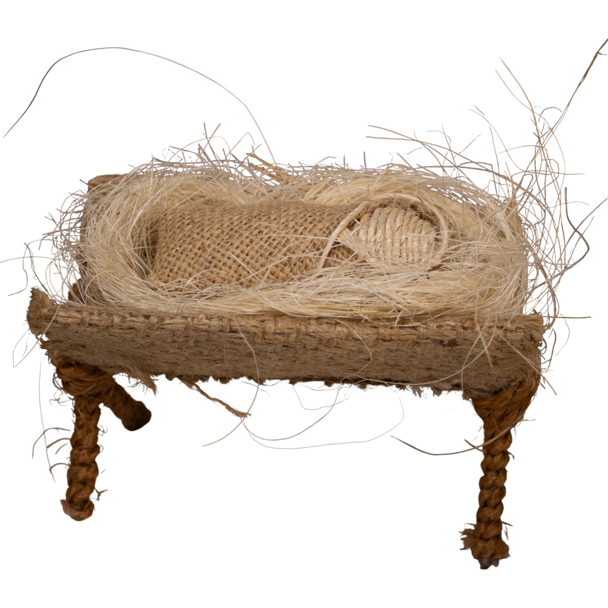 Nacimiento de Yute con Granos â€“ 25 cm
