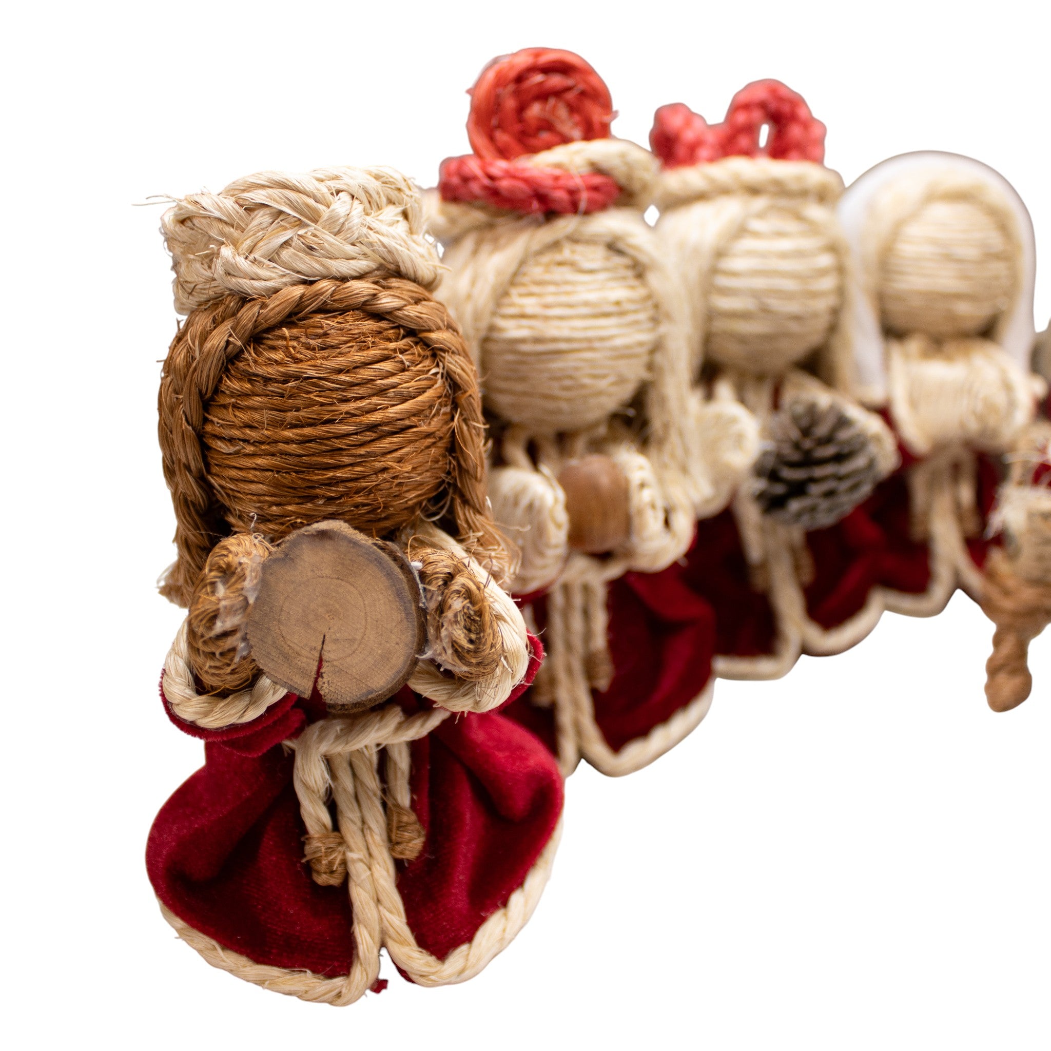 Nacimiento de Yute Rojo â€“ 10 cm