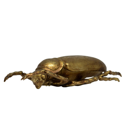 Decoración Escarabajo I 23 cm