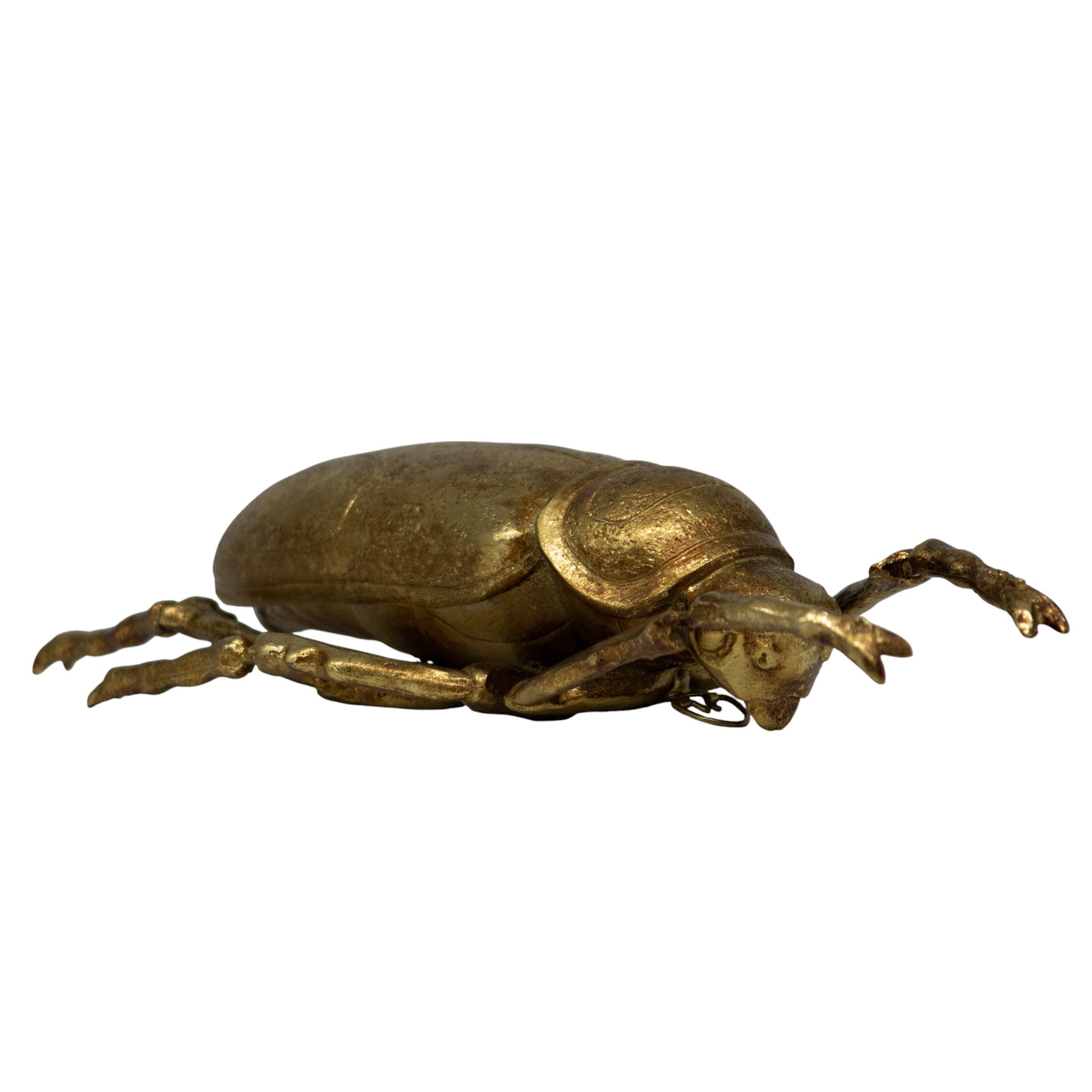 Decoración Escarabajo I 23 cm