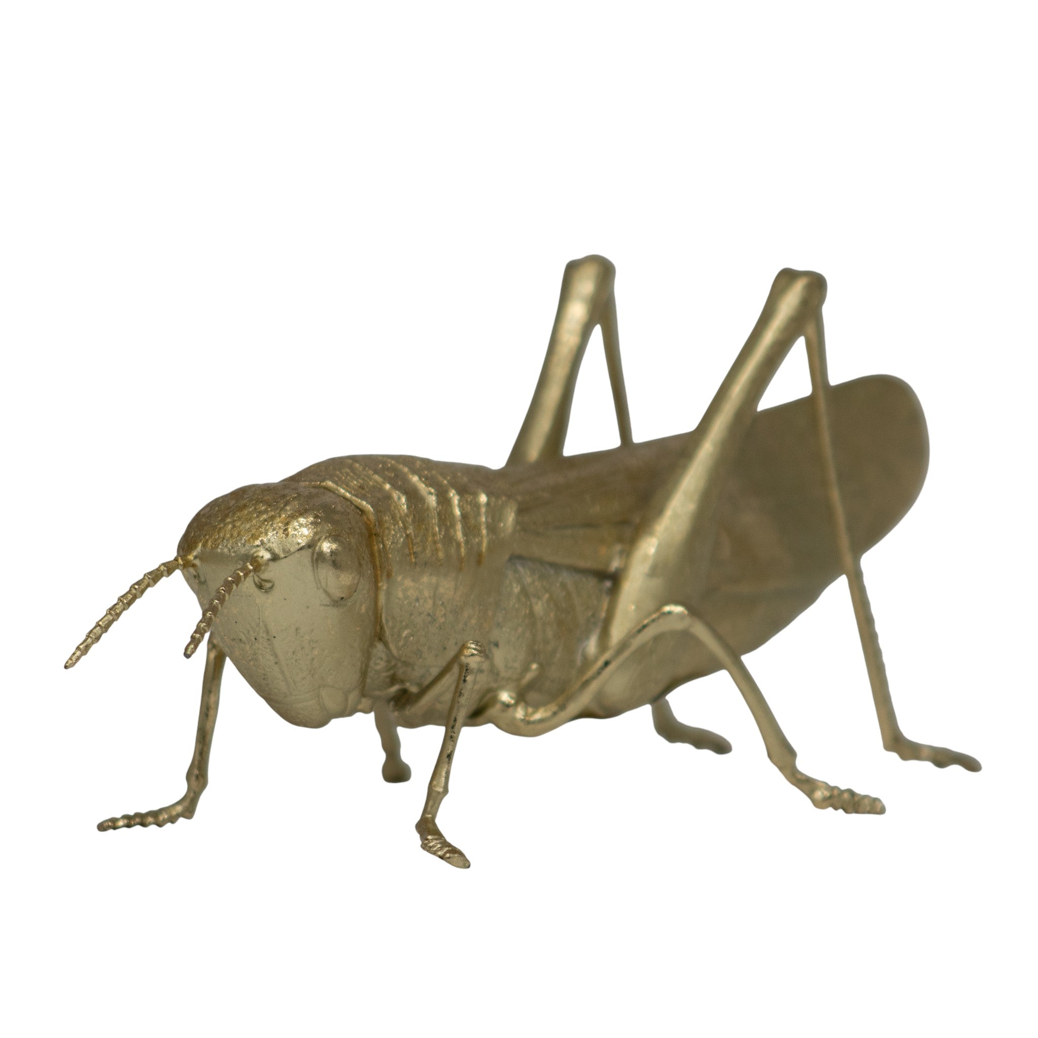 Figura Decorativa Saltamontes oro 12 cm