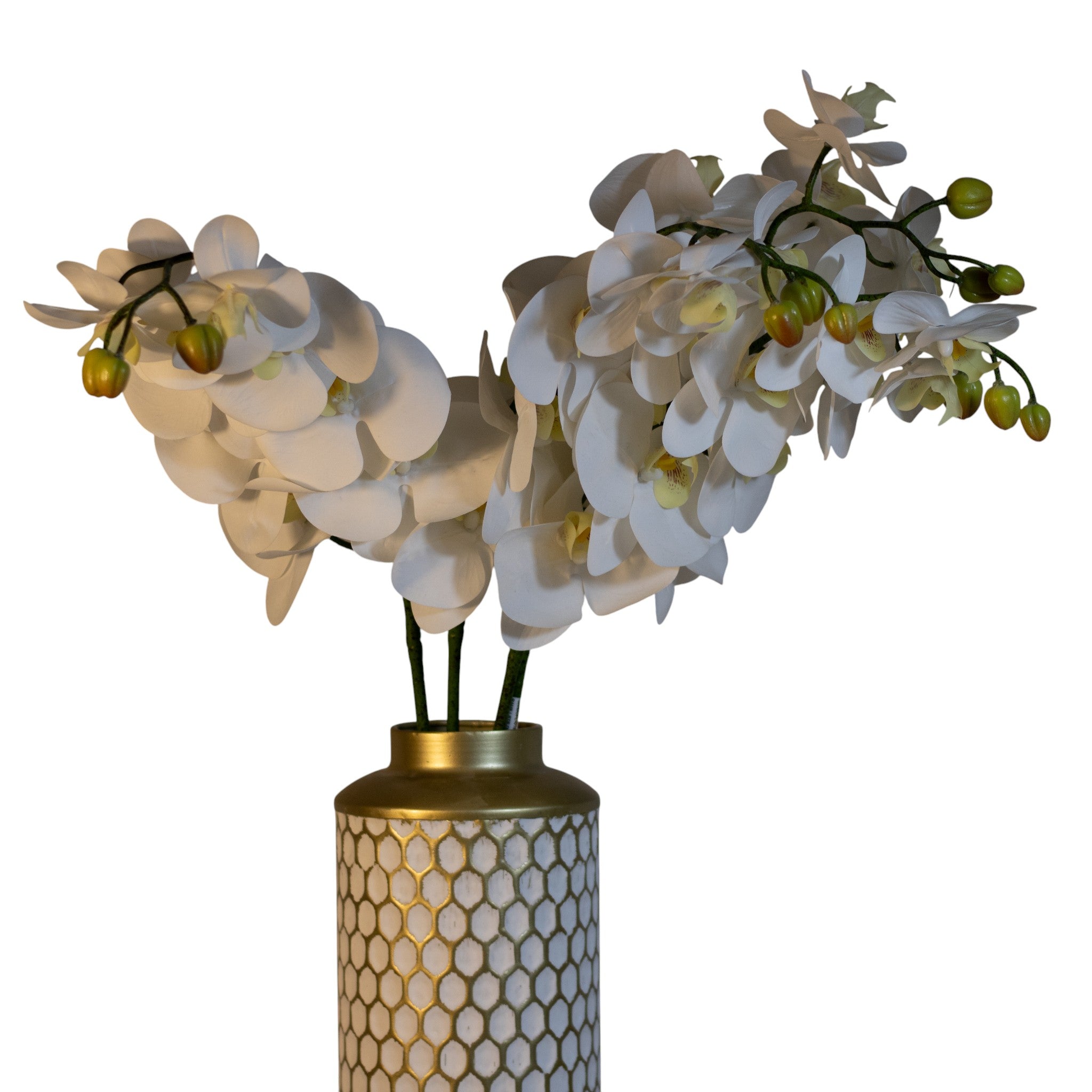 Set De 2 Envases Metalicos Gold