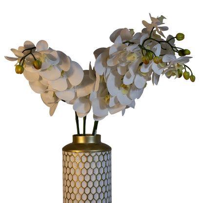 Set De 2 Envases Metalicos Gold