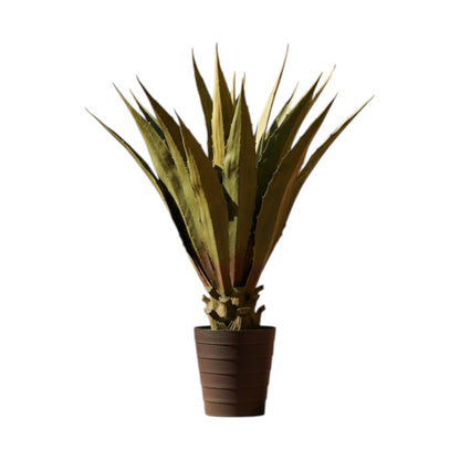 Agave En Maceta -A49 Verde