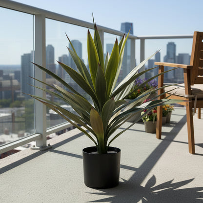 Yucca En Maceta -A50 Verde