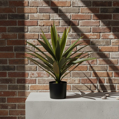 Yucca En Maceta -A50 Verde