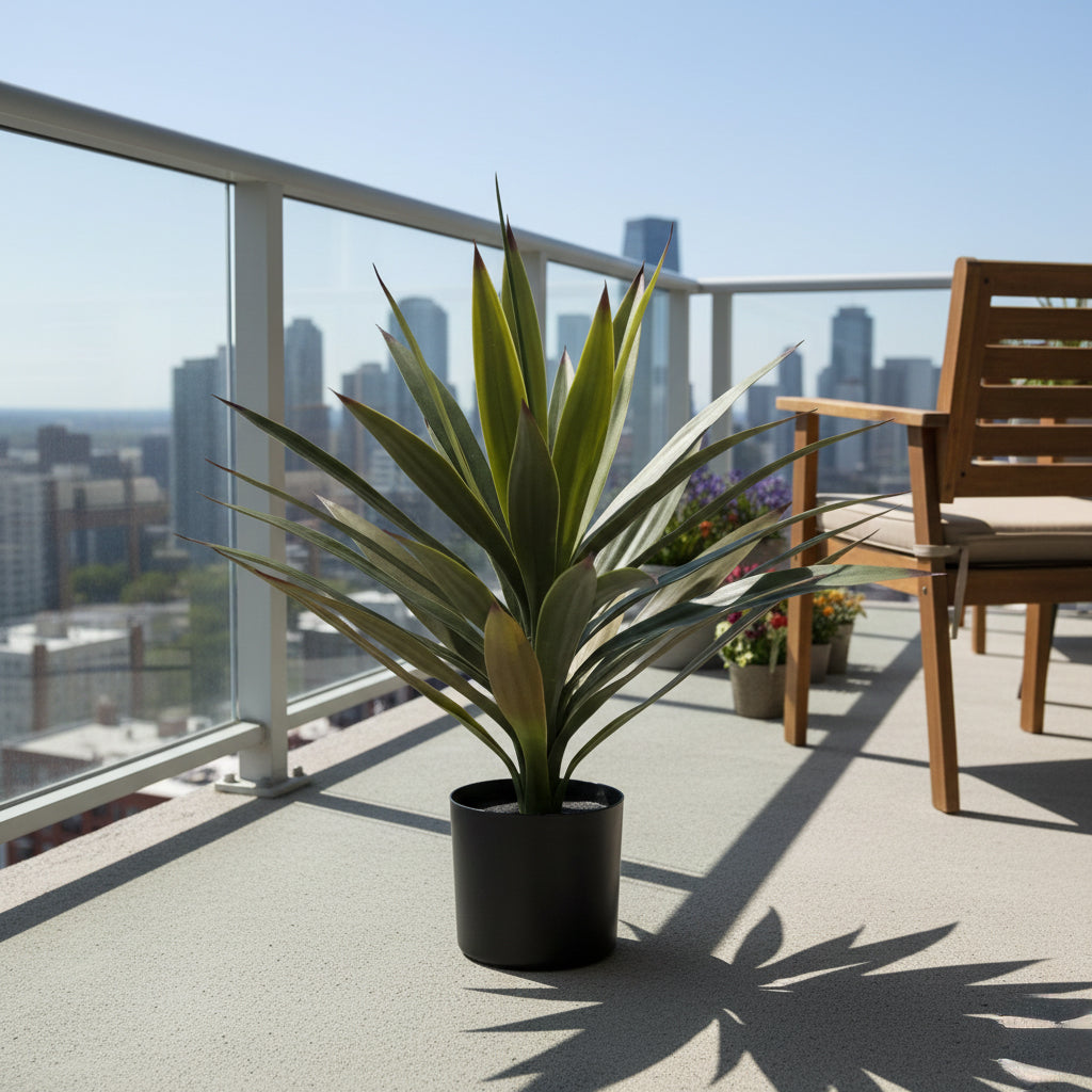 Yucca En Maceta -A50 Verde