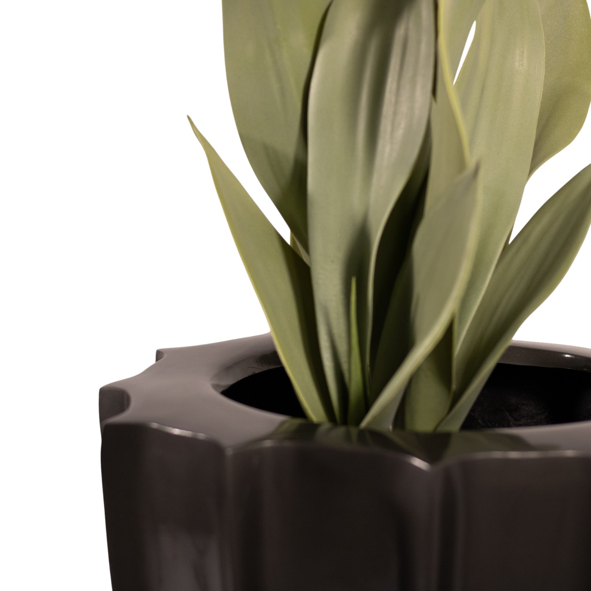 Maceta Fv Cactus M Oxford