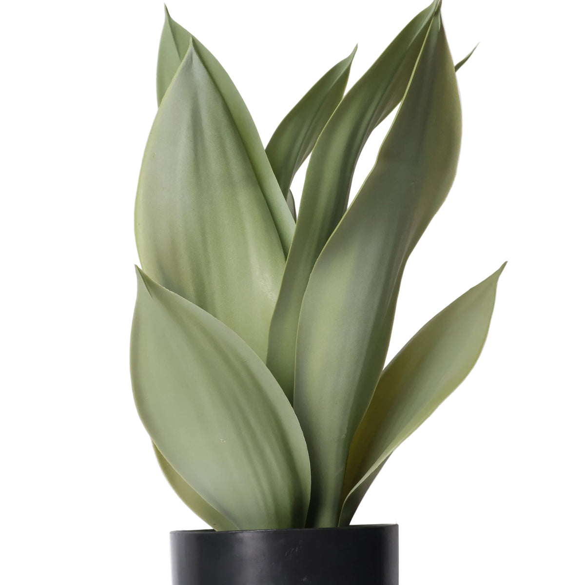 Planta Artificial Sansevieria 50cm