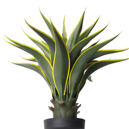 Maceta Agave 60 Cm