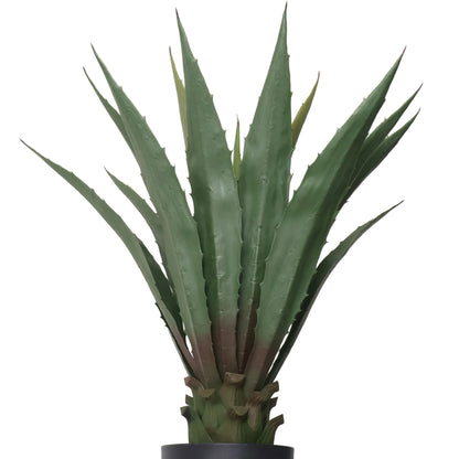 Maceta Agave