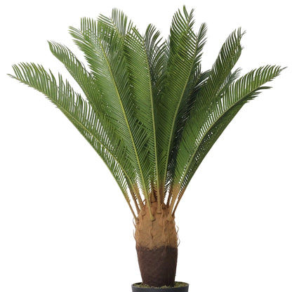 Maceta Cycas 103 Cm