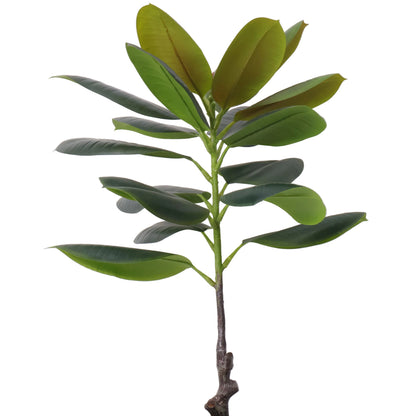 ARBOL DE CAUCHO GRANDE