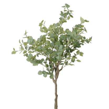 Árbol de Eucalipto